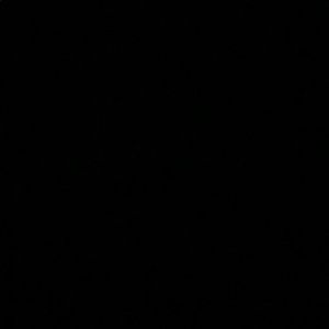 Meet your Posher, Fermin